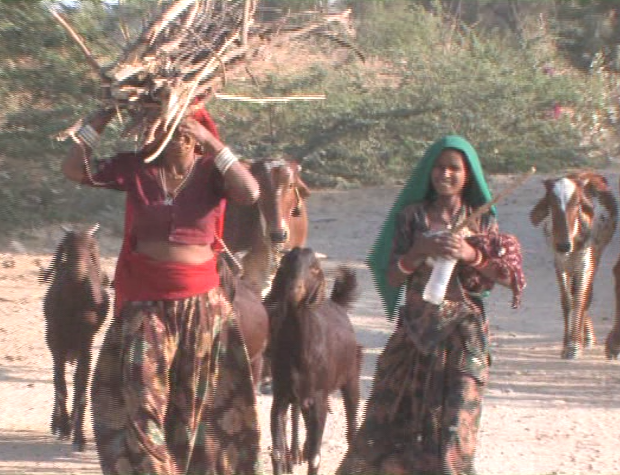 women with goats